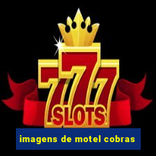 imagens de motel cobras